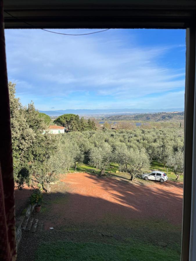 Le Querciole * Casciana Terme